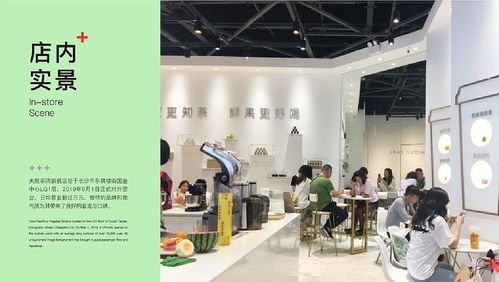 矢度茶四 水果茶飲品牌形象設(shè)計(jì)與禮儀活動策劃